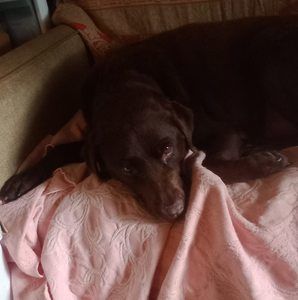 Meet your Posher, Karen